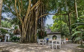 Hotel Selva Negra